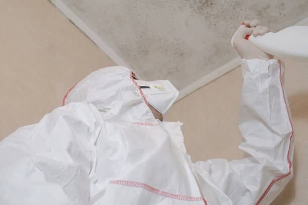 Best HVAC Mold Remediation in Carbon Hill, AL